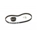 Комплект натяжитель + ремень ГРМ на Renault Logan I 2004-2012 1.4+1.6 - Gates - K015662XS