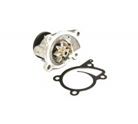 Водяной насос на Renault Kangoo II 2008- 1.2 TCe - Renault (Оригинал) - 210108030R