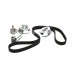 Комплект натяжитель + ролик + ремень на Renault Mascott 2004-2010 3.0dCi - Renault (Франция) - 7701477523