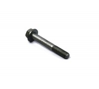 Болт крепления переднего амортизатора на Renault Kangoo 1997-2008 - Renault (Оригинал) - 7703002700