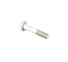 Болт крепления шаровой опоры на Renault Kangoo 1997-2008 - Renault (Оригинал) - 7703002735
