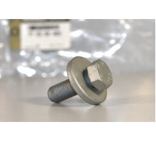 Болт крепления шкива распредвала на Renault Megane III 2009-2016 1.9dCi - Renault (Оригинал) - 7703101455