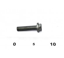 Болт крепления шкива коленчатого вала на Renault Clio III 2005-2012 - Renault (Оригинал) - 8200646632