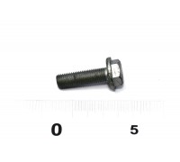 Болт крепления шкива распредвала на Renault Kangoo II 2008- 1.6 - Renault (Оригинал) - 8200651816