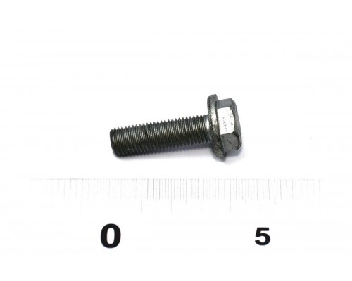 Болт крепления шкива распредвала на Renault Kangoo II 2008- 1.6 - Renault (Оригинал) - 8200651816