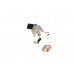 Клапан EGR на Renault Kangoo 1997-2008 1.9D+1.9dCi - Autlog - AV6006