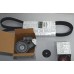 Комплект натяжитель + ролик + ремень генератора на Renault Trafic 2001- 1.9dCi (+AC) - 117200713R