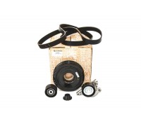 Комплект натяжитель+ролик+шкив+ремень на Renault Megane II 2001-2009 2.0dCi - Renault (Оригинал) - 7701477343