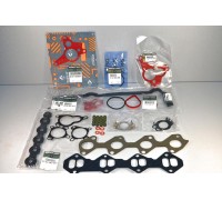 Комплект прокладок двигателя на Renault Trafic 2006- 2.0dCi - 101019367R