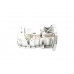Маслянный поддон на Renault Kangoo 2005-2008 1.5dCi - Expert Line (Польша) - OL35004