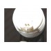 Насос бачка омывателя на Renault Kangoo 1997-2005 - SEIM - 116933