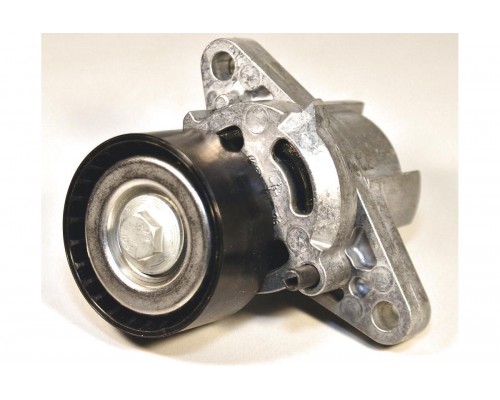 Натяжитель ремня генератора (+АС) на Renault Kangoo 1997-2008 1.4i, 1.6і 16V - Renault - 8200603359
