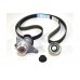 К-кт натяжитель+ ролик+ ремень на Renault Trafic II 20112014, 2.0dCi - Renault (Оригинал) - 117209956R