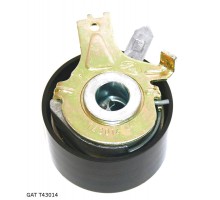 Натяжной ролик ремня ГРМ на Renault Dokker 2012- 1.5dCI -Gates (Бельгия) - T43014