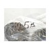 Подушка стойки Mc Phersona на Renault Dokker 2012- Rotweiss (Турция) RWS1253