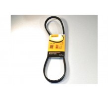 Поликлиновый (ручейковый) ремень на Renault Kangoo 1.2+1.2 16V (AC -PS) 2000-2008 ContiTech (Германия) 4PK925