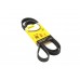 Поликлиновый (ручейковый) ремень на Renault Laguna II 2001-2007 1.6 16V - ContiTech - 6PK1820