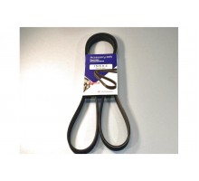 Поликлиновый (ручейковый) ремень на Renault Kangoo 1.2 97-2000 (PS, AС) - Hutchinson (Франция) - HH 5PK1515