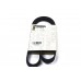 Поликлиновый (ручейковый) ремень на Renault Kangoo 01-2009 1.5dCi - Renault (Оригинал) - 8200020924