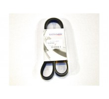 Поликлиновый (ручейковый) ремень на Renault Kangoo 1.5dCi, 01-09.2005 - Transporterparts (Франция) - 12.0103
