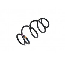 Пружина задняя на Renault Dokker 2012-- Renault (Оригинал) - 550204946R