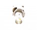 Распредвал впускной на Renault Clio III 2005-2012 1.6 16V - Renault (Оригинал) - 8200235677