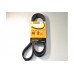 Ручейковый ремень на Renault Master II 1.9dCi+2.2dCi+2.5dCi 1998-2010 (ALT, -AC) ContiTech (Германия) 6PK1836