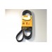 Ручейковый ремень на Renault Master II 1.9dCi+2.2dCi+2.5dCi 1998-2010 (ALT, -AC) ContiTech (Германия) 6PK1836