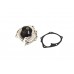 Водяной насос на Renault Clio III 2005-2012 2.0 16V - FAI - WP6327