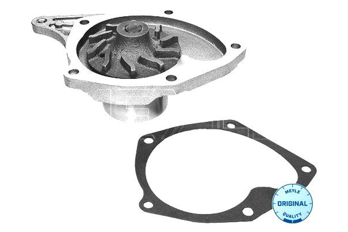 Водяной насос на Renault Kangoo II 2008- 1.5dCi - Meyle (Германия) - 16-132200003