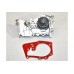 Водяной насос на Renault Dokker 2012- 1.6 - Renault (Оригинал) - 210101302R