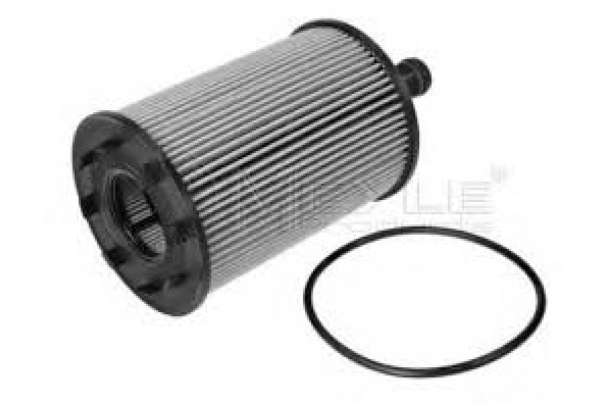 Фильтр масляный VW Caddy III 1.9TDI / 2.0SDI / 2.0TDI (103kW) 04-10 1001150000 MEYLE (Германия) Фильтр масляный VW Caddy III 1.9TDI / 2.0SDI / 2.0TDI (103kW) 04-10 1001150000 MEYLE (Германия)