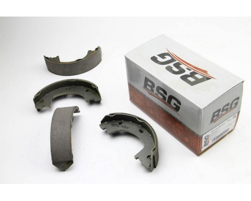 Колодки ручника (со сдвоенным колесом, с пружинками) VW Crafter 2006- 60-205-013 BSG (Турция)
