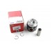Поршень (для 3, 4 цилиндра, стандарт) VW Transporter T5 1.9TDI 63kW / 77kW 03-09 0308700 MAHLE (Австрия)