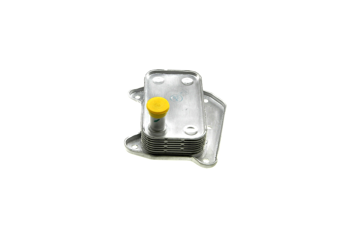 Радиатор масляный / теплообменник (двигатель OM646) MB Vito 639 2.2CDI 03- MSA3376 Elit (Украина) Радиатор масляный / теплообменник (двигатель OM646) MB Vito 639 2.2CDI 03- MSA3376 Elit (Украина)