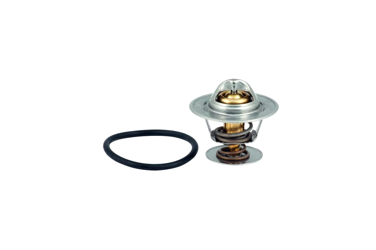 Термостат VW Caddy III 2.0TDI 103kW 2007-2010 1.880.432 EPS (Италия) Термостат VW Caddy III 2.0TDI 103kW 2007-2010 1.880.432 EPS (Италия)