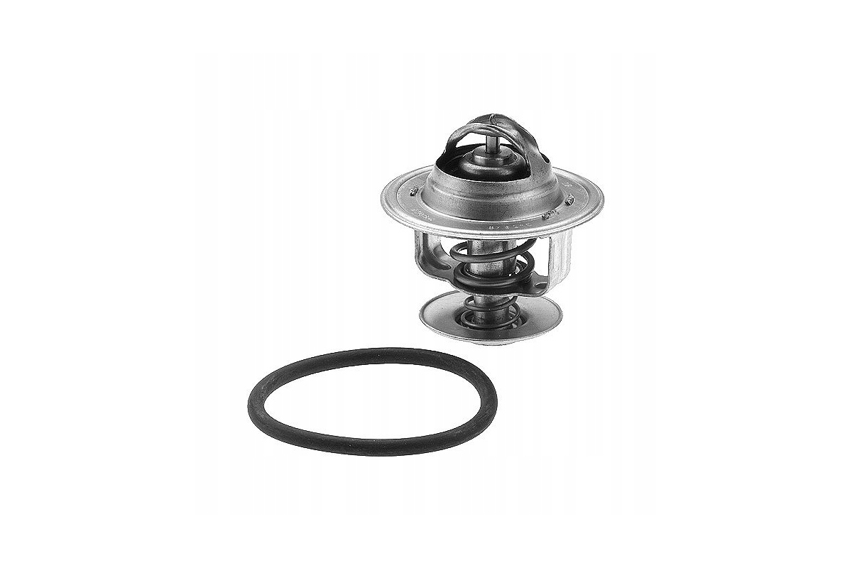 Термостат VW Transporter T5 1.9TDI 2003-2009 86203787 TRISCAN (Дания) Термостат VW Transporter T5 1.9TDI 2003-2009 86203787 TRISCAN (Дания)