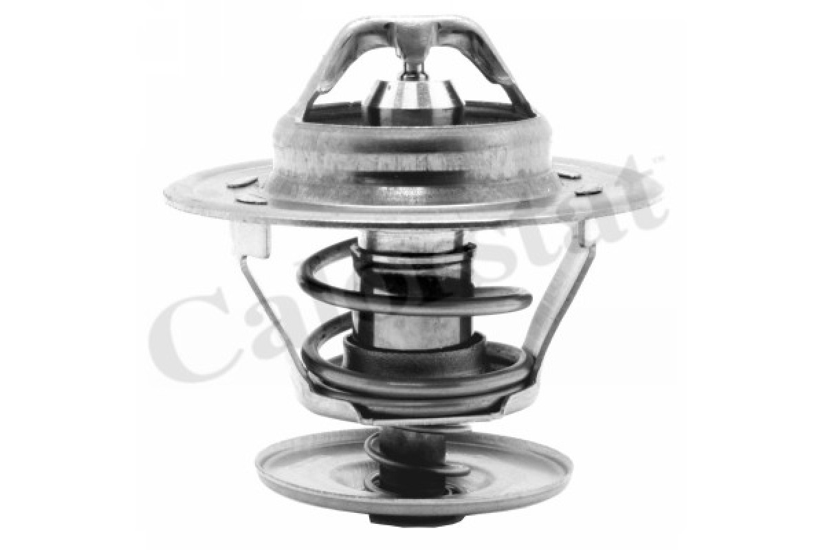 Термостат VW Transporter T5 1.9TDI 2003-2009 TH1439.87J VERNET (Франция) Термостат VW Transporter T5 1.9TDI 2003-2009 TH1439.87J VERNET (Франция)