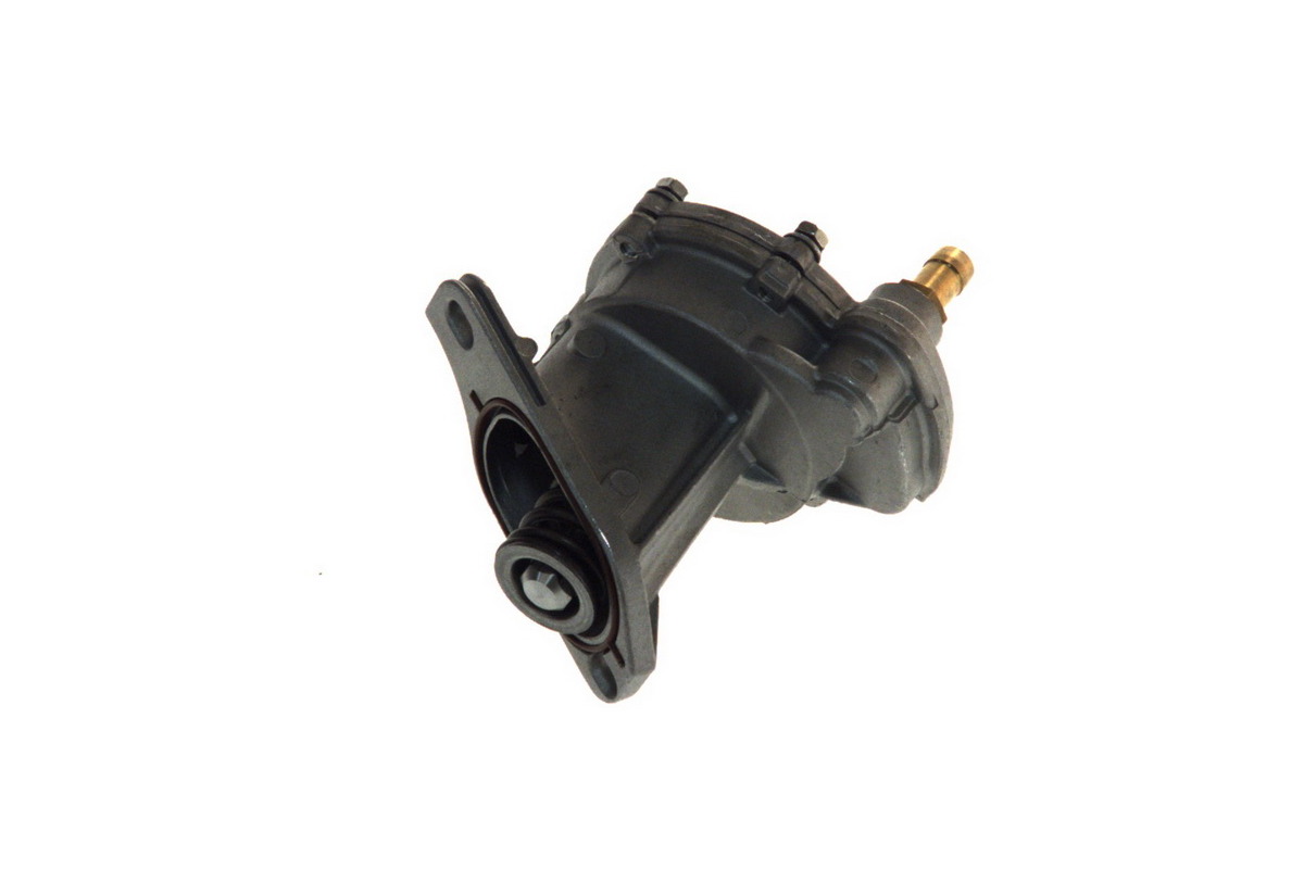 Вакуумный насос VW LT 2.5TDI 1996-2006 120013510 Automega (Германия)